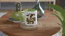 scene01.webp